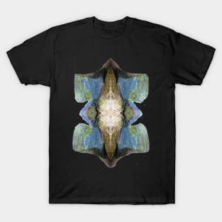 colored stones in the sea T-Shirt